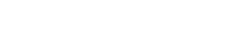 logo white png@33.33x